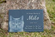 Stone Pet Memorial
